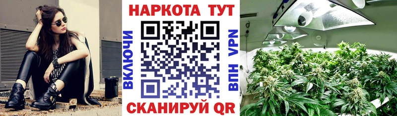 Как найти закладки Сурск АМФЕТАМИН  Меф  ГАШИШ  Конопля  COCAIN 