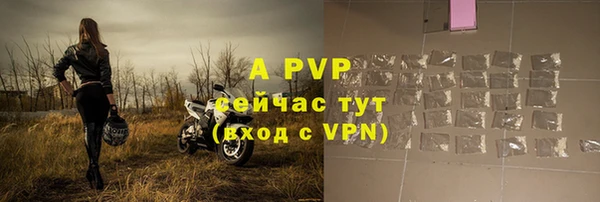 амф Новозыбков