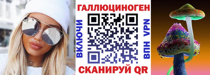 купить  цена  omg маркетплейс  Псилоцибиновые грибы Cubensis  Сурск 